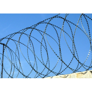 Проволока колючая спиральная оцинкованная Егоза СББ-950 2,5 мм